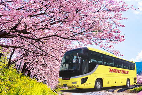 はとバス春特集