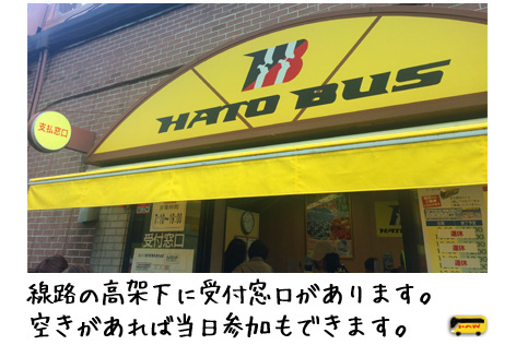 はとバス受付