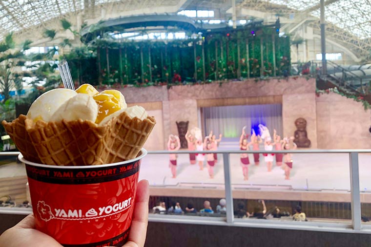 スパリゾートハワイアンズ　ヤミーヨーグルトアイス