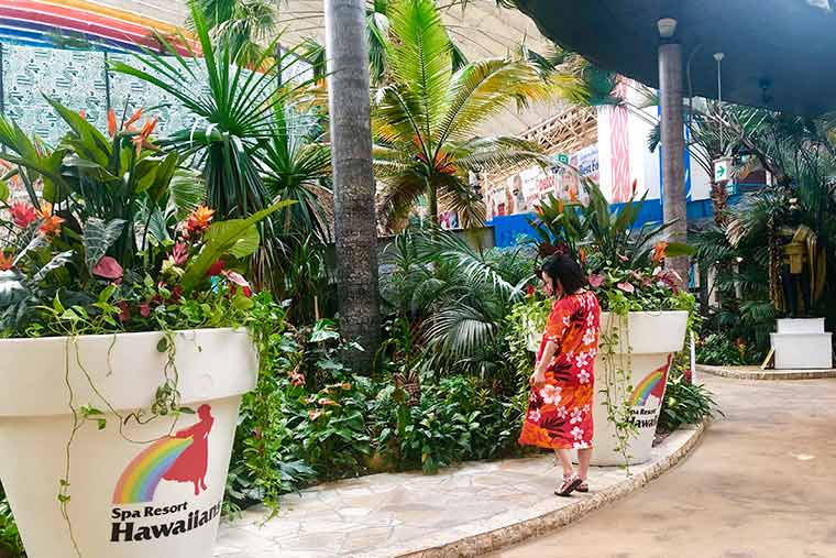 スパリゾートハワイアンズ　フォトジェニック