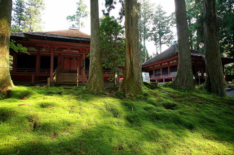 比叡山延暦寺 にない堂