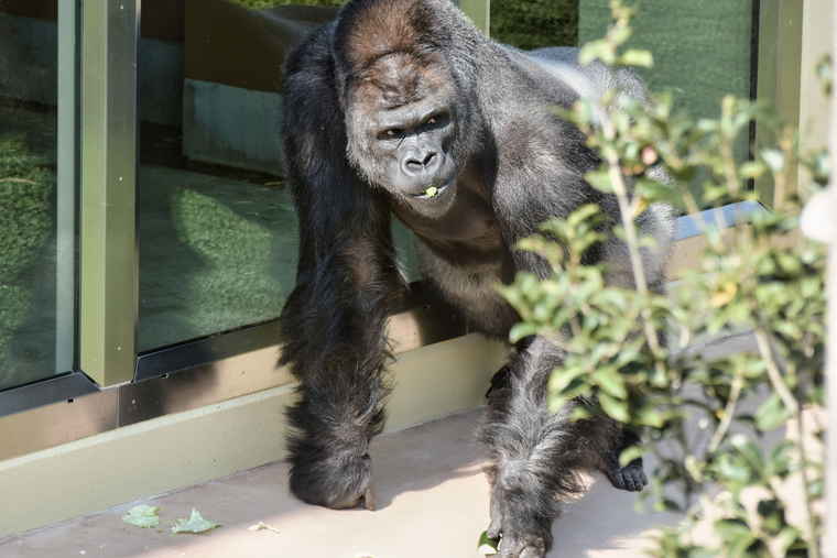 名古屋 東山動植物園