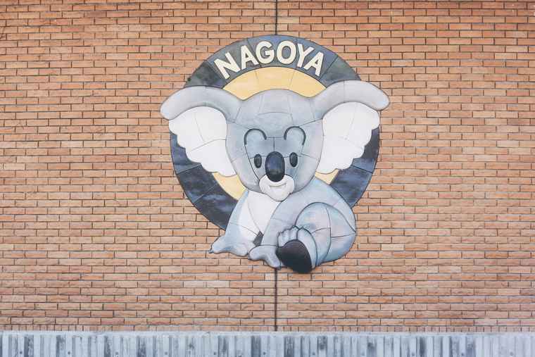 名古屋 東山動植物園 コアラ舎