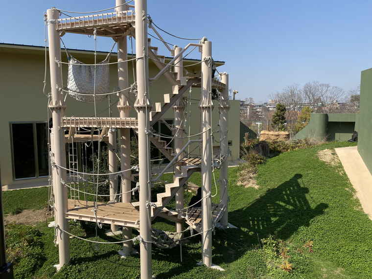 名古屋 東山動植物園 ゴリラ舎