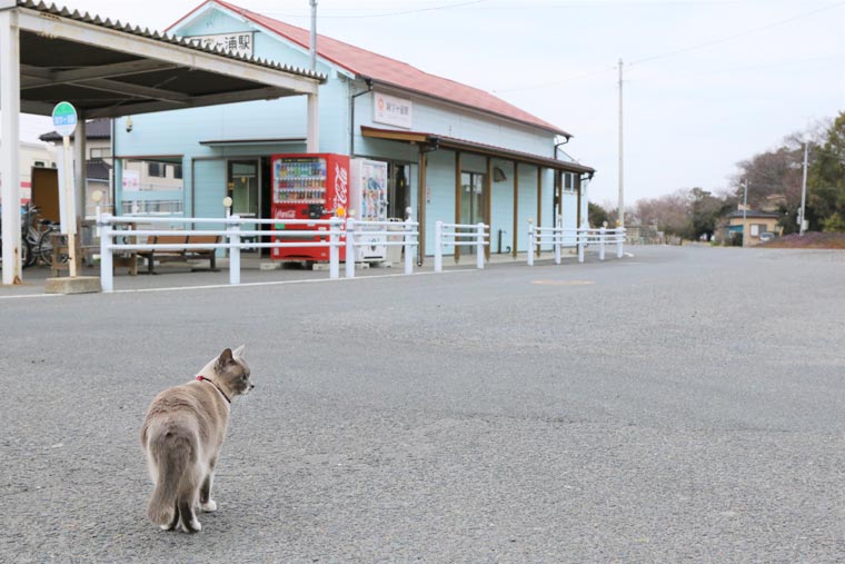 ひたちなか海浜鉄道　阿字ヶ浦駅