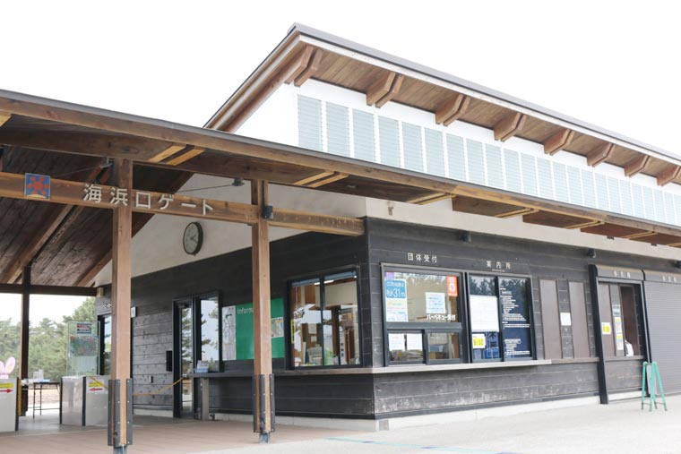 国営ひたち海浜公園　海浜口