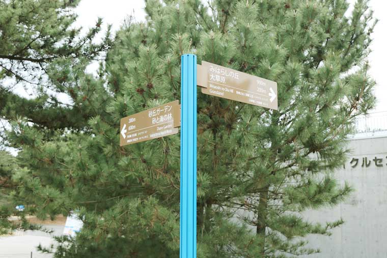 国営ひたち海浜公園