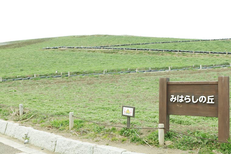 国営ひたち海浜公園