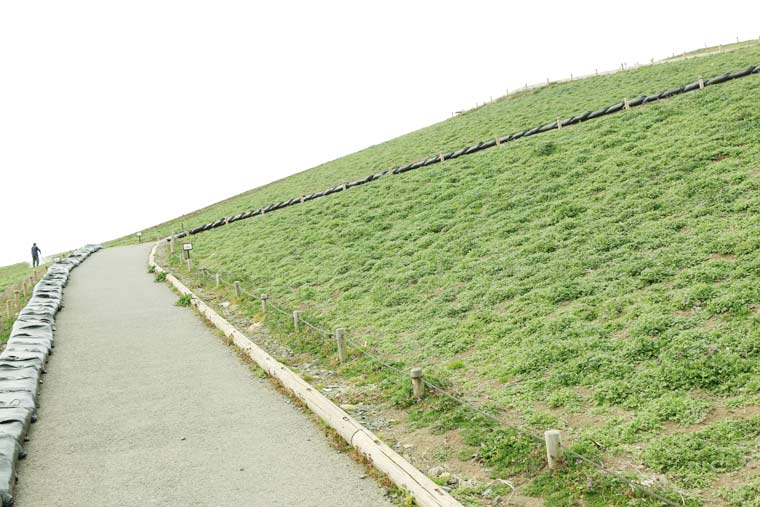 国営ひたち海浜公園