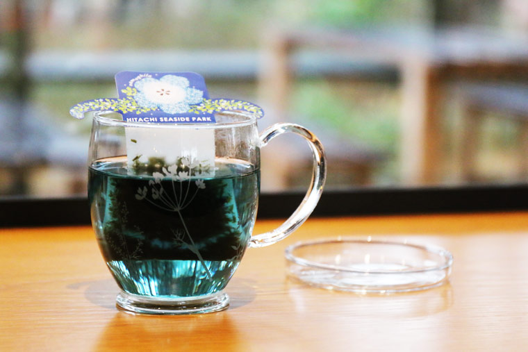 国営ひたち海浜公園　記念の森レストハウス