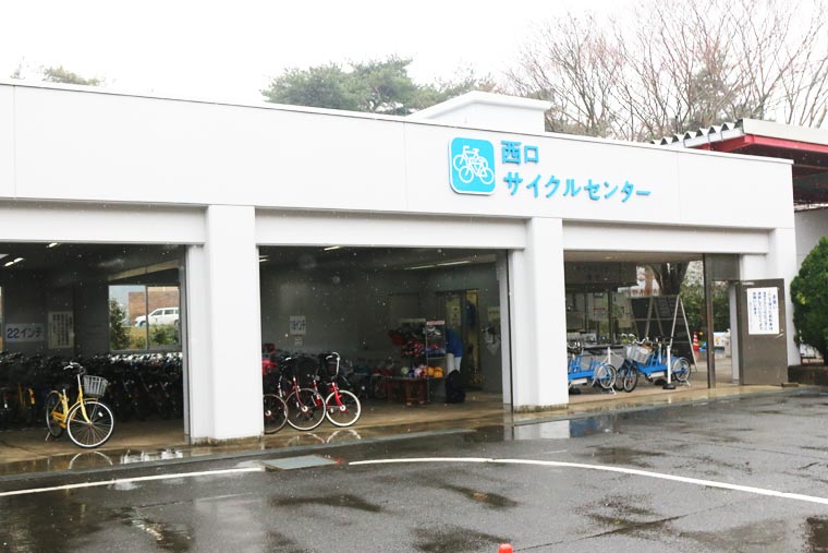 国営ひたち海浜公園