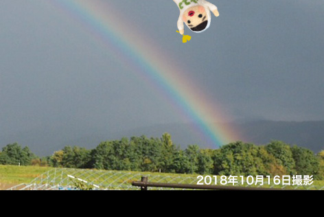 虹も見れました!7色!