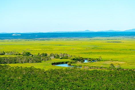 釧路湿原