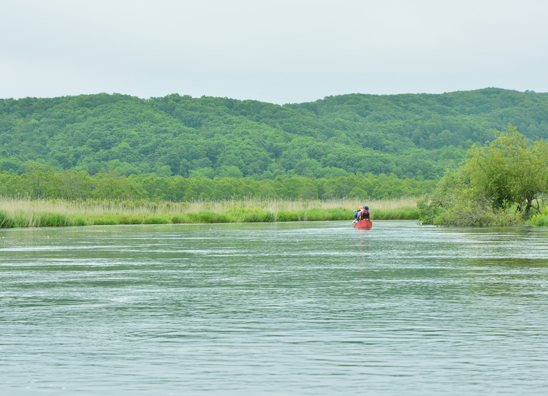 釧路湿原カヌー