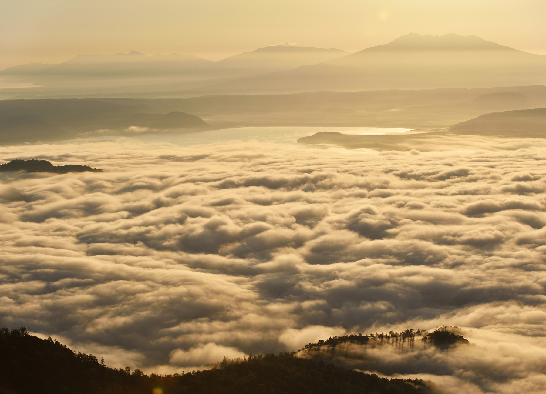 屈斜路湖雲海ツアー