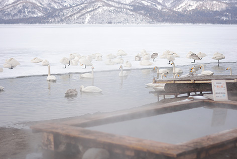 屈斜路湖の足湯