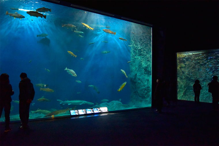 道の駅サーモンパーク千歳　サケのふるさと千歳水族館