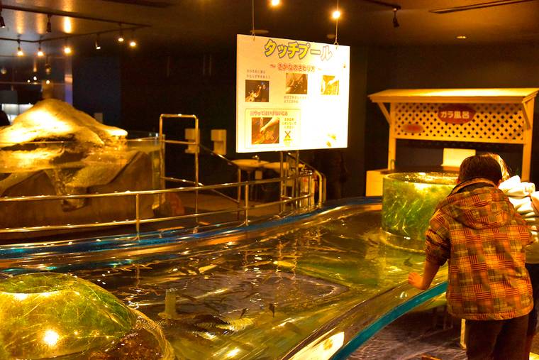 道の駅サーモンパーク千歳　サケのふるさと千歳水族館