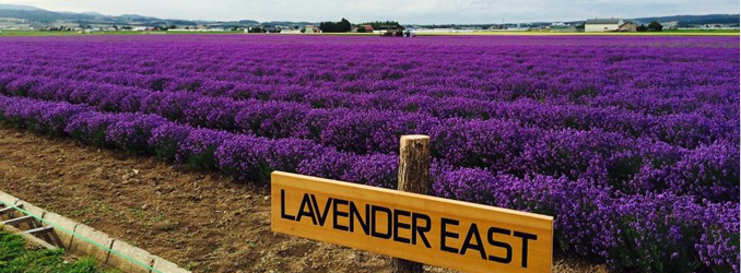 ファーム富田イースト