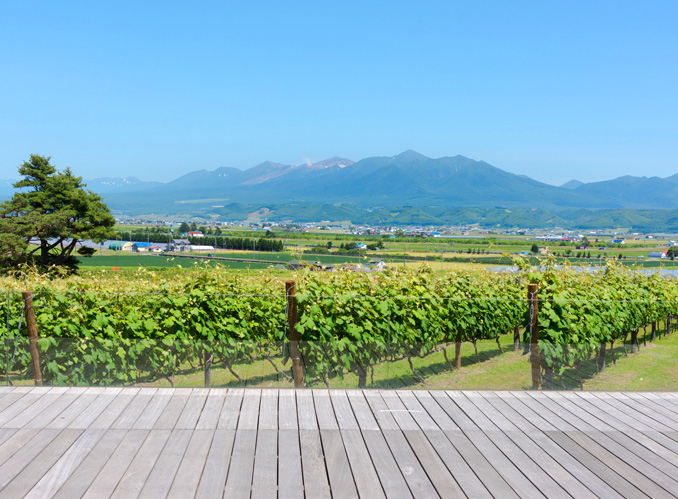 カンパーナ六花亭