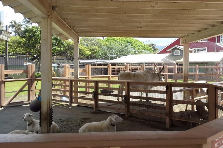 低く作られているケイキ・ズーの柵