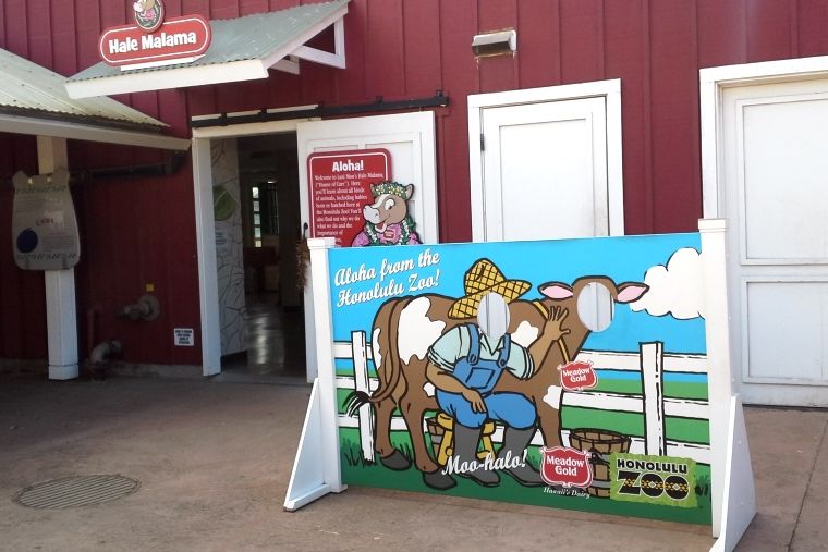 ケイキ・ズーの記念写真撮影にピッタリの場所