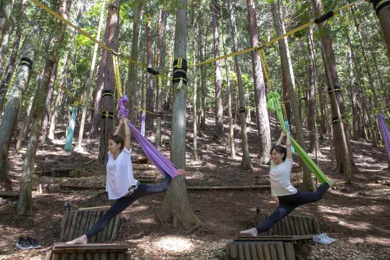 森の空中ストレッチ