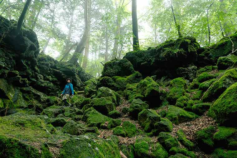 樹海ネイチャーツアー