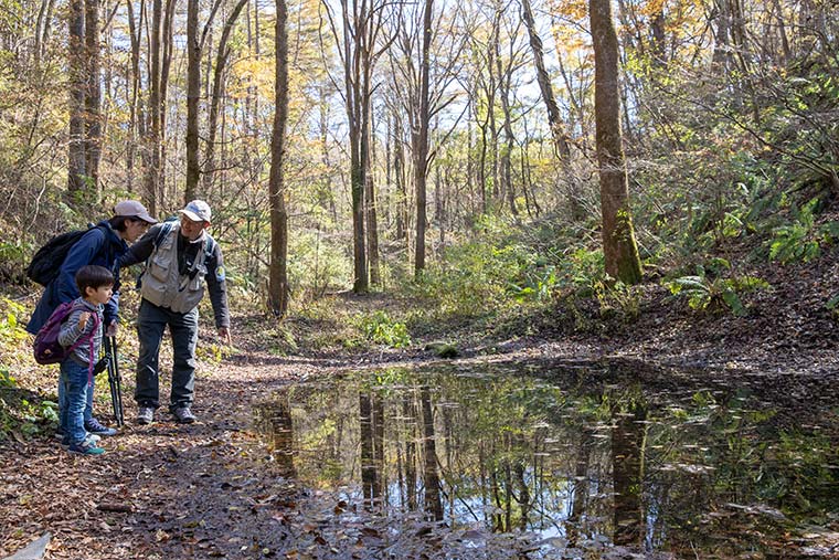 星のや軽井沢　ピッキオ　野鳥の森ネイチャーウォッチング