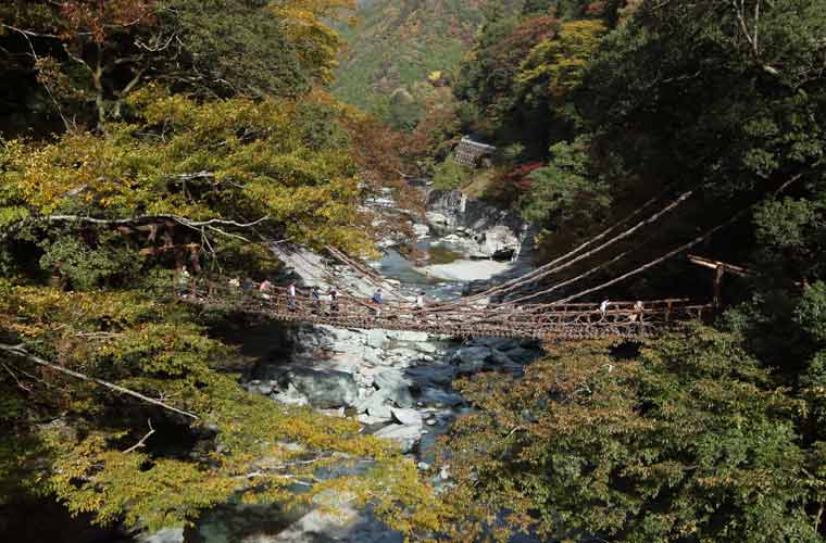 祖谷渓のかずら橋