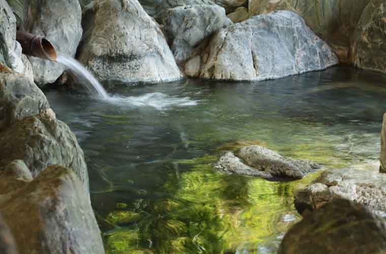 ホテルかずら橋 貸し切り露天風呂「筍の湯」