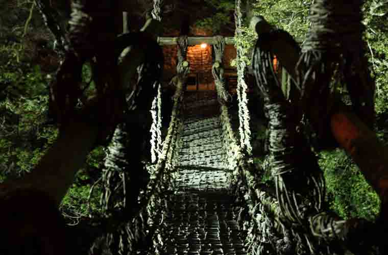 かずら橋 ライトアップ