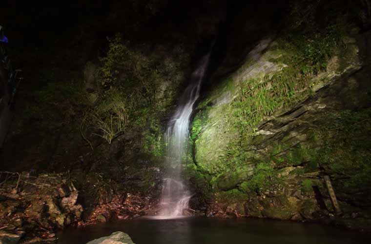 琵琶の滝 ライトアップ
