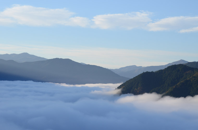 吾橋・雲海展望台からの雲海