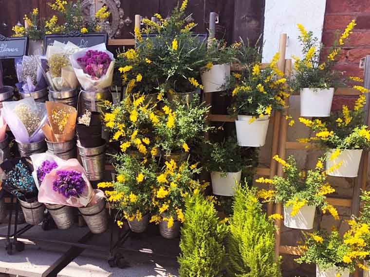 マダンフラワーカフェ店頭