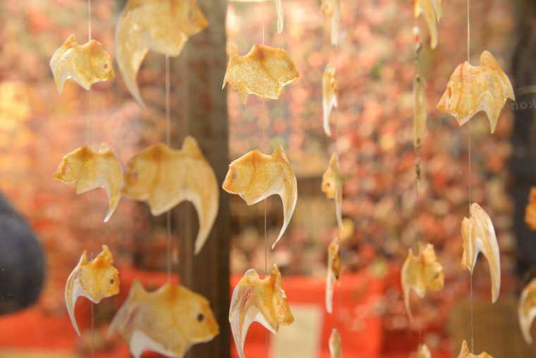 金目鯛の鯛の鯛つるし飾り