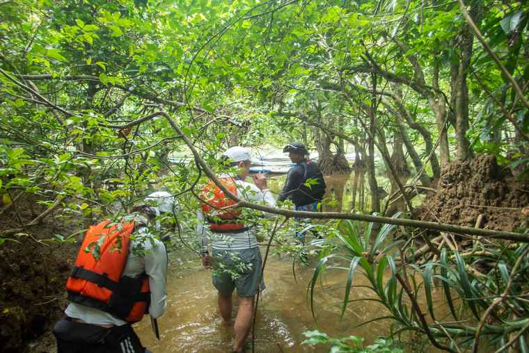 西表島　トレッキング体験