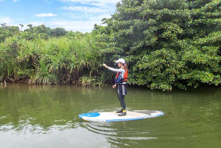 西表島　SUP・カヌー体験