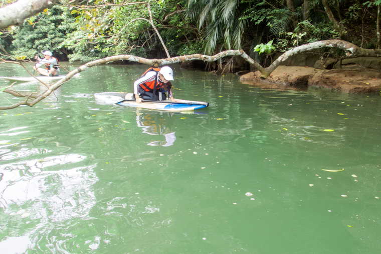 西表島　SUP・カヌー体験