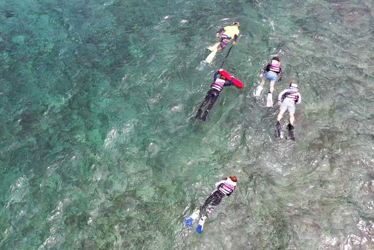 西表島　バラス島シュノーケリング