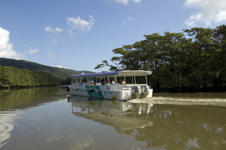 西表島　仲間川クルージング