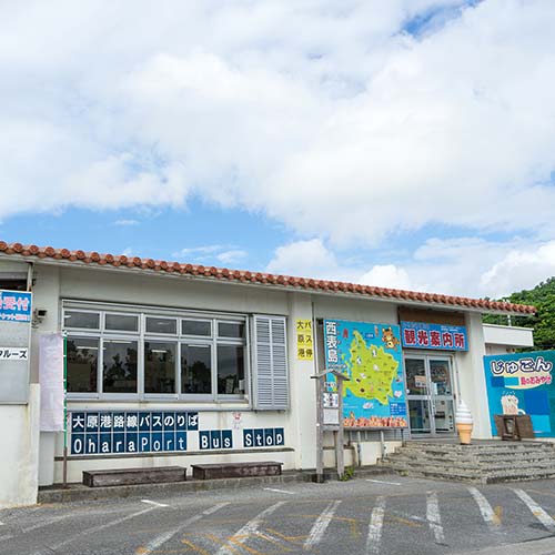 西表島　仲間川クルージング