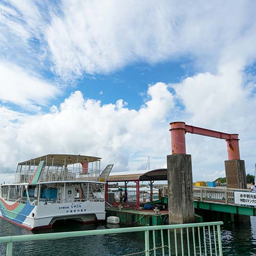 西表島　仲間川クルージング