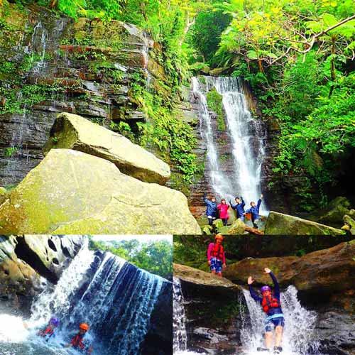 西表島　トレッキング体験