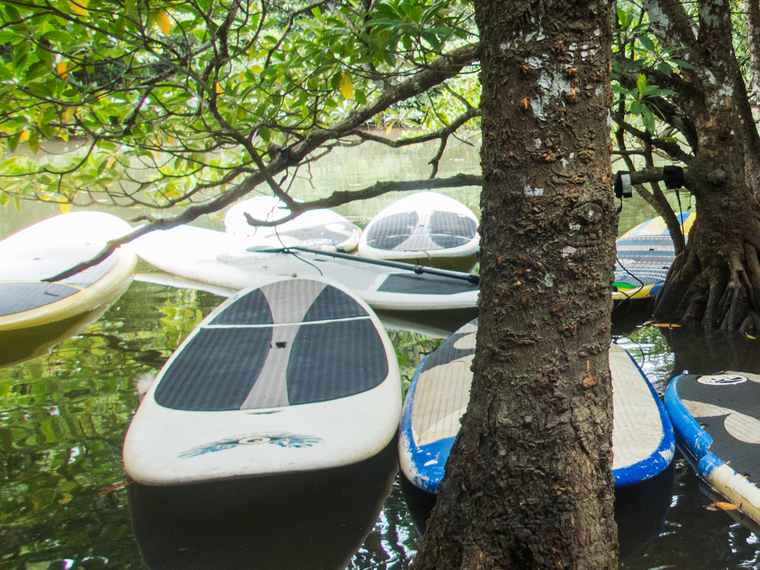 西表島　SUP・カヌー体験