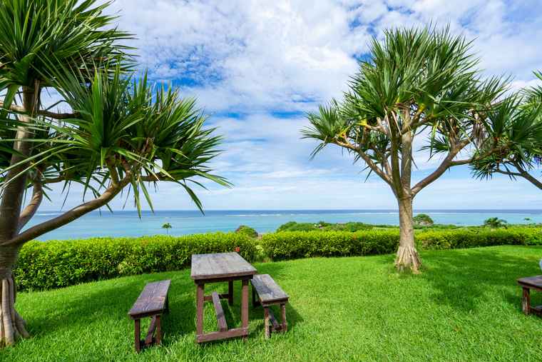 石垣島　のばれ岬観光農園