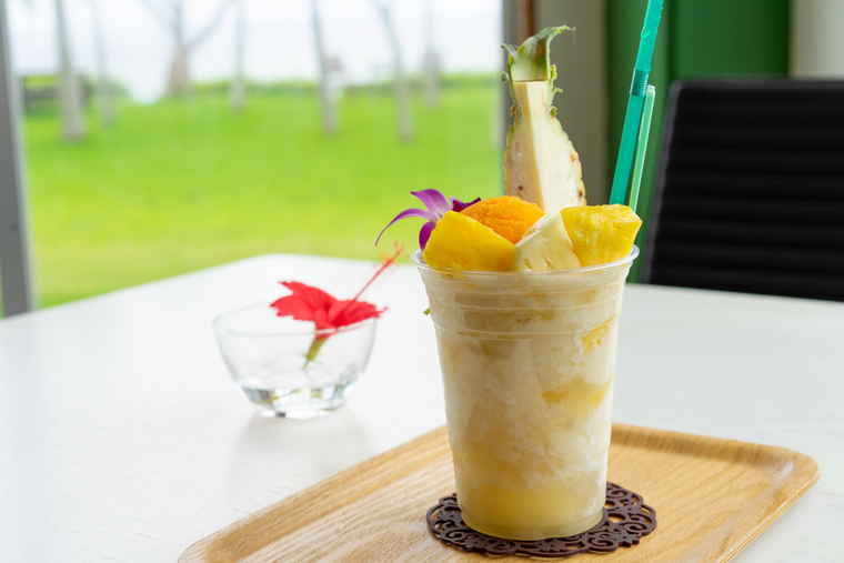 石垣島　のばれ岬観光農園　パイゴロフロート