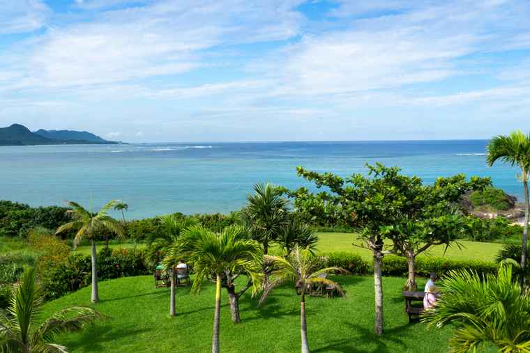 石垣島　のばれ岬観光農園　屋上からの景色