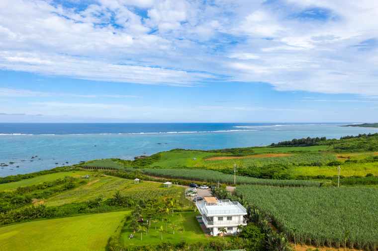 石垣島　のばれ岬観光農園