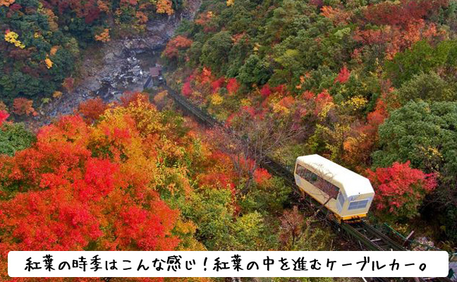 紅葉時のケーブルカー